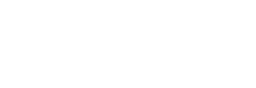 banana leaf